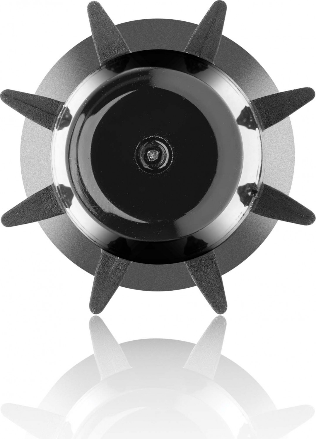  XanitaliaPro Haarb&uuml;rste Liss &Oslash;16mm/ &Oslash;20mm von Sthauer 