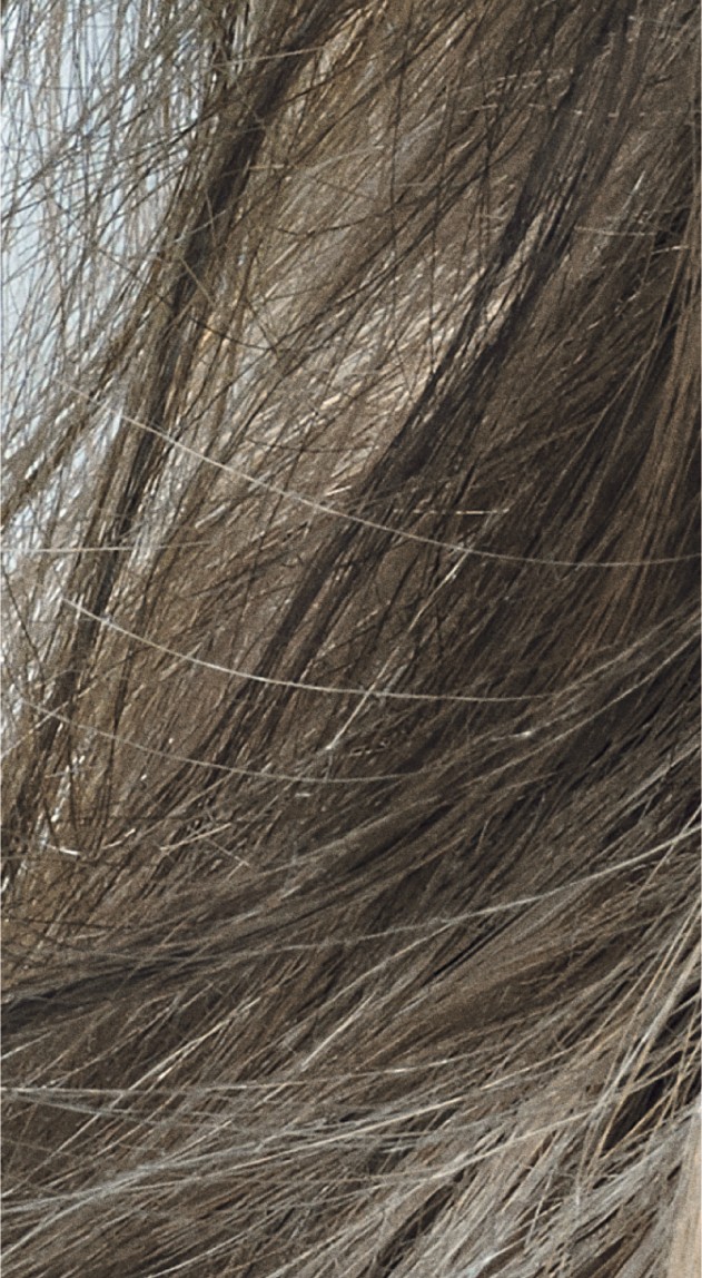  Goldwell Topchic Depot 8CA Cool Asch 250 ml 