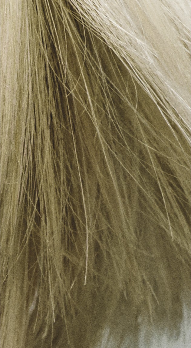  Goldwell Colorance 9MB Jadeblond 120 ml 